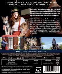 Der Wolf und der Löwe (Blu-ray), Blu-ray Disc