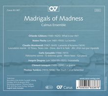 Calmus Ensemble - Madrigals of Madness, CD