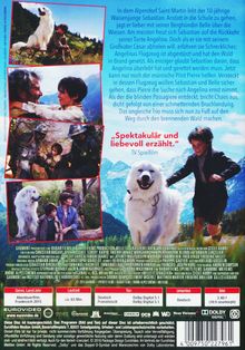 Sebastian und die Feuerretter, DVD