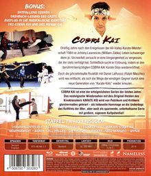 Cobra Kai Staffel 1 (Blu-ray), 2 Blu-ray Discs