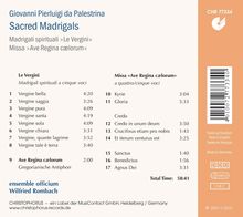 Rückansicht vergrößern