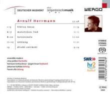 Arnulf Herrmann (geb. 1968): Kammermusik für Ensemble, Super Audio CD