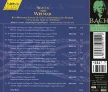 Johann Sebastian Bach (1685-1750): Die vollständige Bach-Edition Vol.91, CD