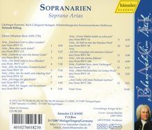 Rückansicht vergrößern