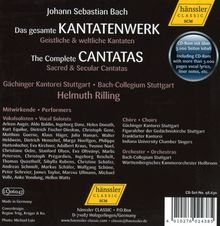Rückansicht vergrößern