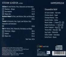 Stefan Schäfer (geb. 1963): Kammermusik, CD