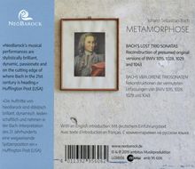 Johann Sebastian Bach (1685-1750): Triosonaten - Rekonstruktionen der vermuteten Urfassungen von BWV 1015,1028,1029,1043, CD