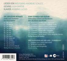 Wolfgang-Andreas Schultz (geb. 1948): Die dreizehn Monate - Lieder nach Gedichten von Erich Kästner, CD