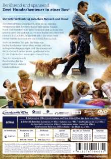 Bailey - Ein Freund fürs Leben / Bailey - Ein Hund kehrt zurück, 2 DVDs