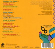 Trackliste mit 13 Titeln, darunter "Fanfare For Peace" und "Goblin Dance". Rechts unten ein Logo der Tobias Becker Bigband.