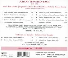 Johann Sebastian Bach (1685-1750): Kantate BWV 215, CD