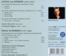 Anton Webern (1883-1945): Sämtliche Werke für Cello, CD