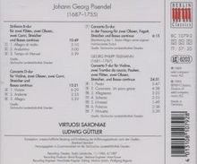 Johann Georg Pisendel (1687-1755): Sinfonia &amp; Concerti, CD