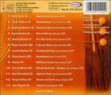 Acoustic Guitar Highlights Vol.4, CD