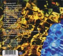 Peter Finger: Flow, CD