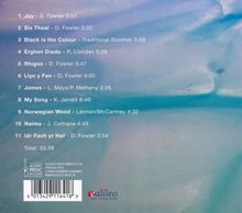 Dylan Fowler: Ebb &amp; Flow, CD