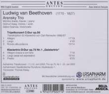 Ludwig van Beethoven (1770-1827): Tripelkonzert op.56 für Klaviertrio (Arrangiert von Carl Reinecke), CD