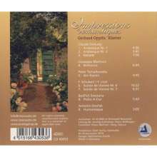 Gerhard Oppitz - Impressions Romantiques, CD