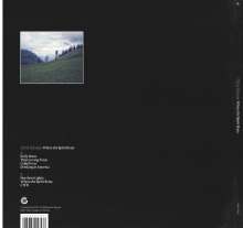 Chris Eckman (Walkabouts): Where The Spirit Rests (180g), LP