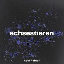 Resi Reiner: Weißt du was ich mein?! (+ echsestieren EP), 2 LPs