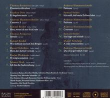 Musik am Hofe derer von Bünau II, CD