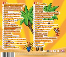 Das Bild zeigt zwei Tracklisten, CD1 und CD2, mit Songtiteln und Interpret:innen. Es gibt Palmen und Sonnenbrillen.
