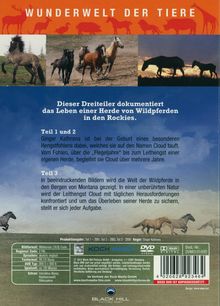 Wunderwelt der Tiere: Clouds Abenteuer Teil 1-3, DVD