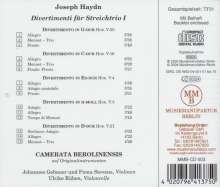 Joseph Haydn (1732-1809): Divertimenti (Streichtrios) Vol.1, CD