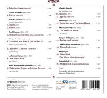 Rottweiler Münstersängerknaben - A cappella, CD
