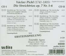 Wenzel Pichel (1741-1805): Streichtrios op.7 Nr.1-6, 2 CDs