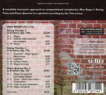 Max Reger (1873-1916): Streichtrios opp.77b &amp; 141b, CD