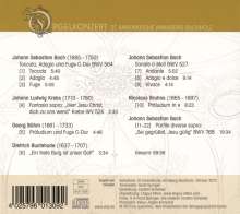 Matthias Süß - Orgelkonzert 2, CD