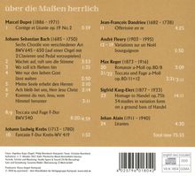 Christian Brembeck - Über die Maßen herrlich, CD