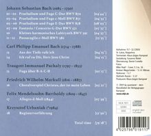 Krzysztof Urbaniak - Johann-Ernst-Hähnel-Orgel Krippehna, CD