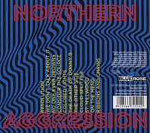 Steve Wynn (Dream Syndicate): Northern Aggression, CD