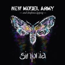 New Model Army: Sinfonia (180g) (Limited Edition), 3 LPs und 1 DVD