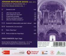 Johann Nepomuk David (1895-1977): Orgelwerke Vol.1, CD