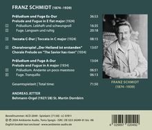 Franz Schmidt (1874-1939): Orgelwerke Vol.2 "Silberglanz", CD