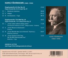 HANS FÄHRMANN (1860–1940) Orgelsonaten Nr. 6 & 7. Andreas Jetter an der Goll-Orgel, Kollegiumskirche Schwyz.