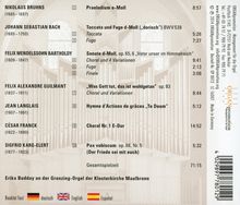 Die Grenzing-Orgel der Klosterkirche Maulbronn, CD