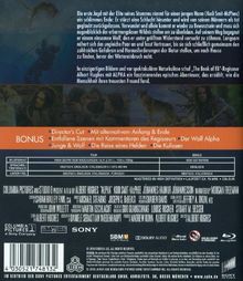 Alpha (Blu-ray), Blu-ray Disc