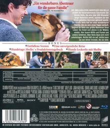 Die unglaublichen Abenteuer von Bella (Blu-ray), Blu-ray Disc