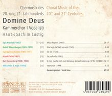 Kammerchor I Vocalisti - Domine Deus (Chormusik des 20. &amp; 21.Jahrhunderts), CD