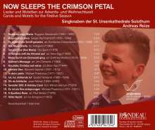 Singknaben der St. Ursenkathedrale Solothurn - Now Sleeps The Crimson Petal, CD