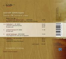 Tobias PM Schneid (geb. 1963): Kammermusik "Sacred Landscapes", CD
