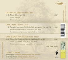 Friedrich Kuhlau (1786-1832): Trio für Flöte, Cello &amp; Klavier op.119, CD