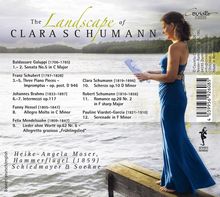 Texte oben: "The Landscape of CLARA SCHUMANN". Rechts eine Frau in einem blauen Kleid, die Noten hält und am Wasser steht.