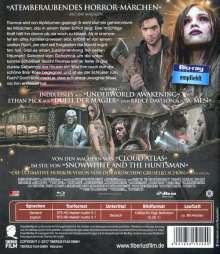 The Curse of Sleeping Beauty (Blu-ray), Blu-ray Disc