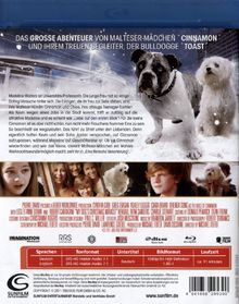 Eine tierische Bescherung (2010) (Blu-ray), Blu-ray Disc