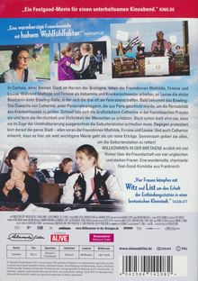 Willkommen in der Bretagne, DVD